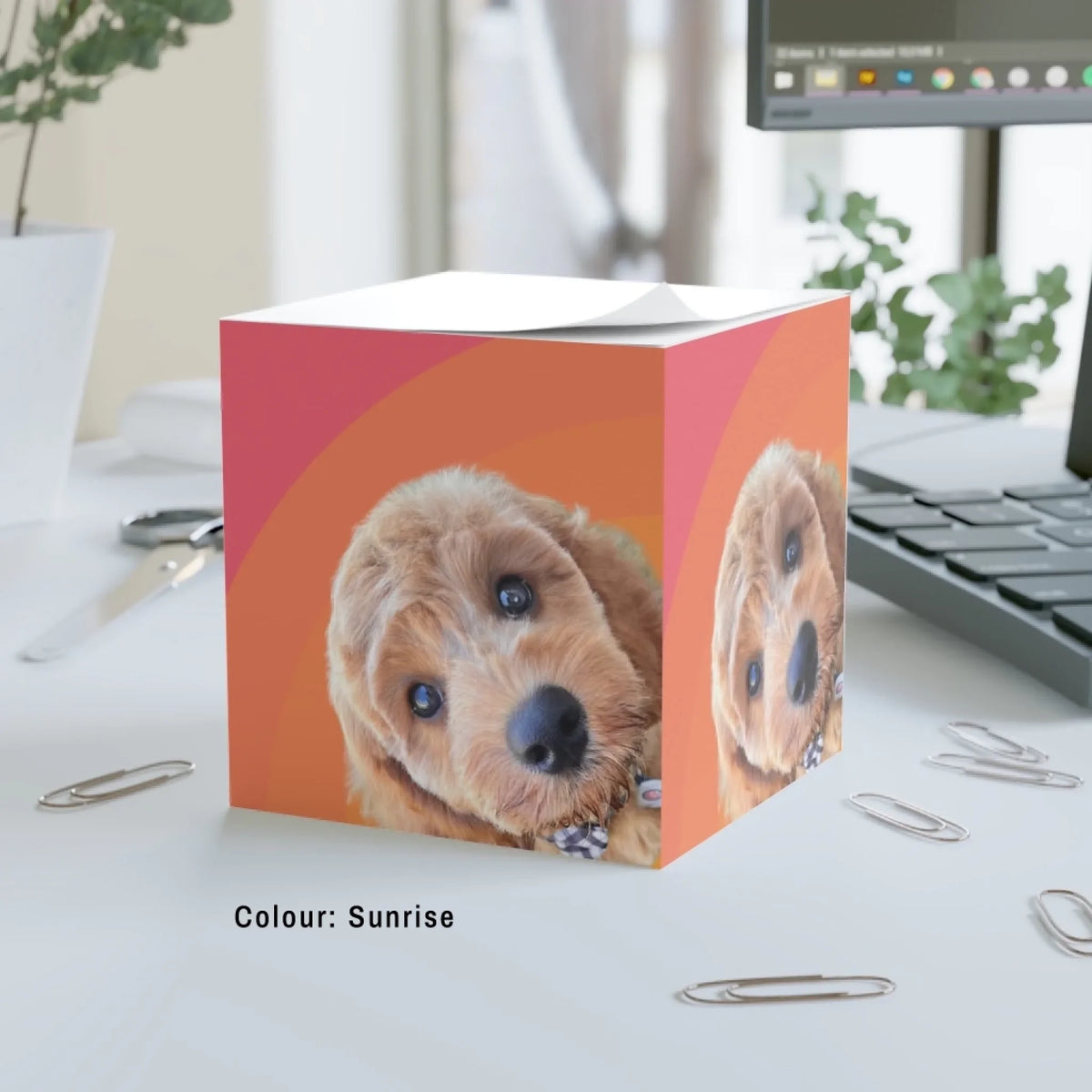 Big Glow Energy note cube in Sunrise, orange and pink arches, with an example pet photo