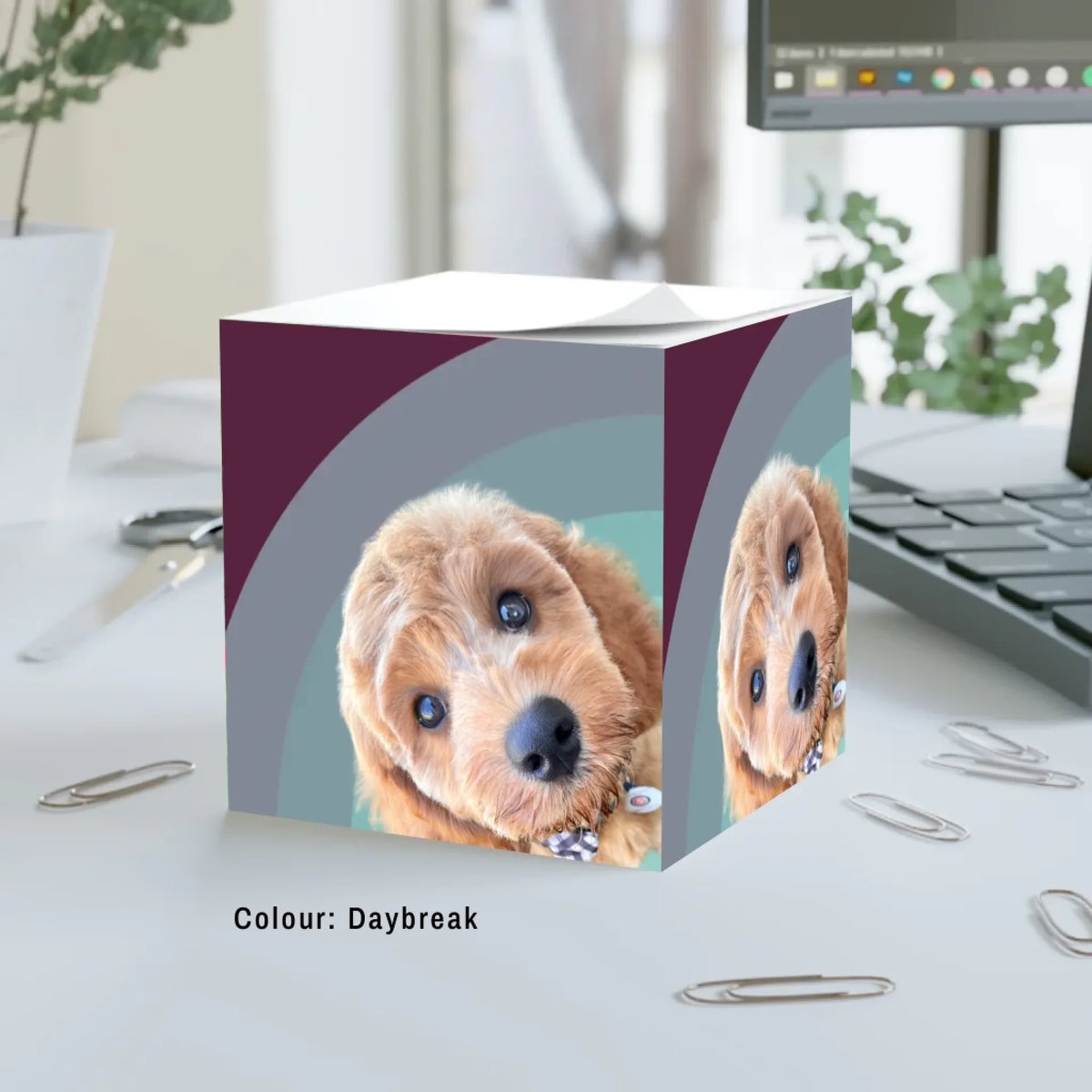 Big Glow Energy note cube in Daybreak, plum and grey arches, with an example pet photo