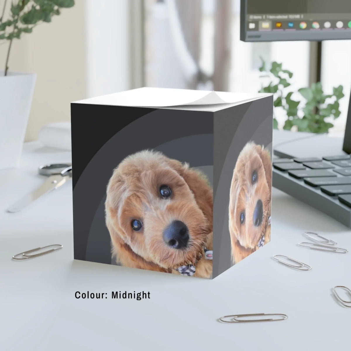 Big Glow Energy note cube in Midnight, black and grey arches, with an example pet photo