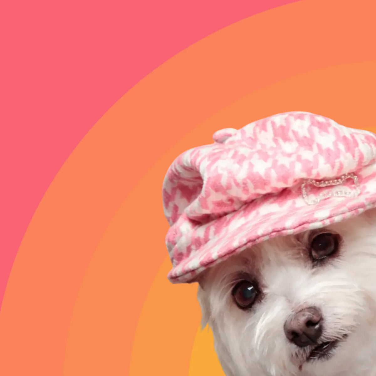 Close-up of the Big Glow Energy design: a white dog in a pink cap framed by orange and pink Sunrise arches
